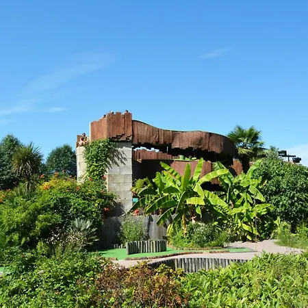 Mobil Xxl 4 - Le Sen Yan